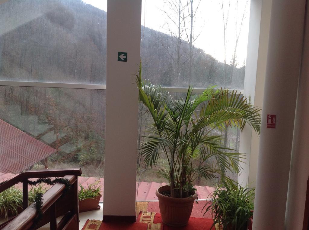 Hotel Panoramic Монеаса Стая снимка