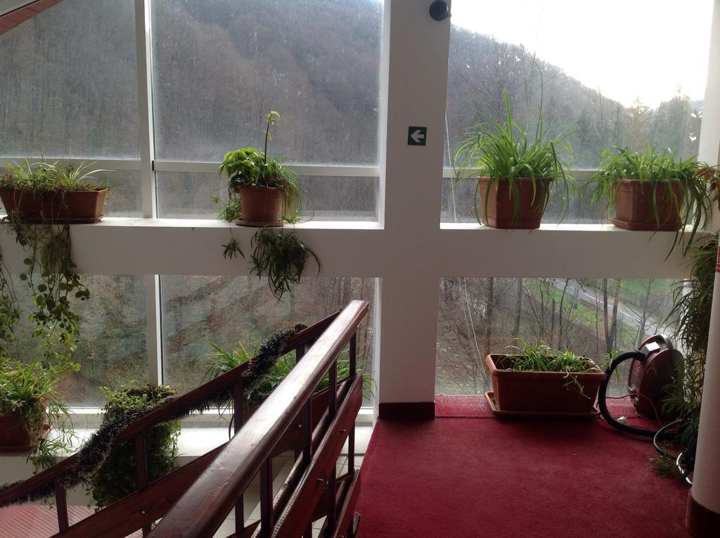 Hotel Panoramic Монеаса Стая снимка