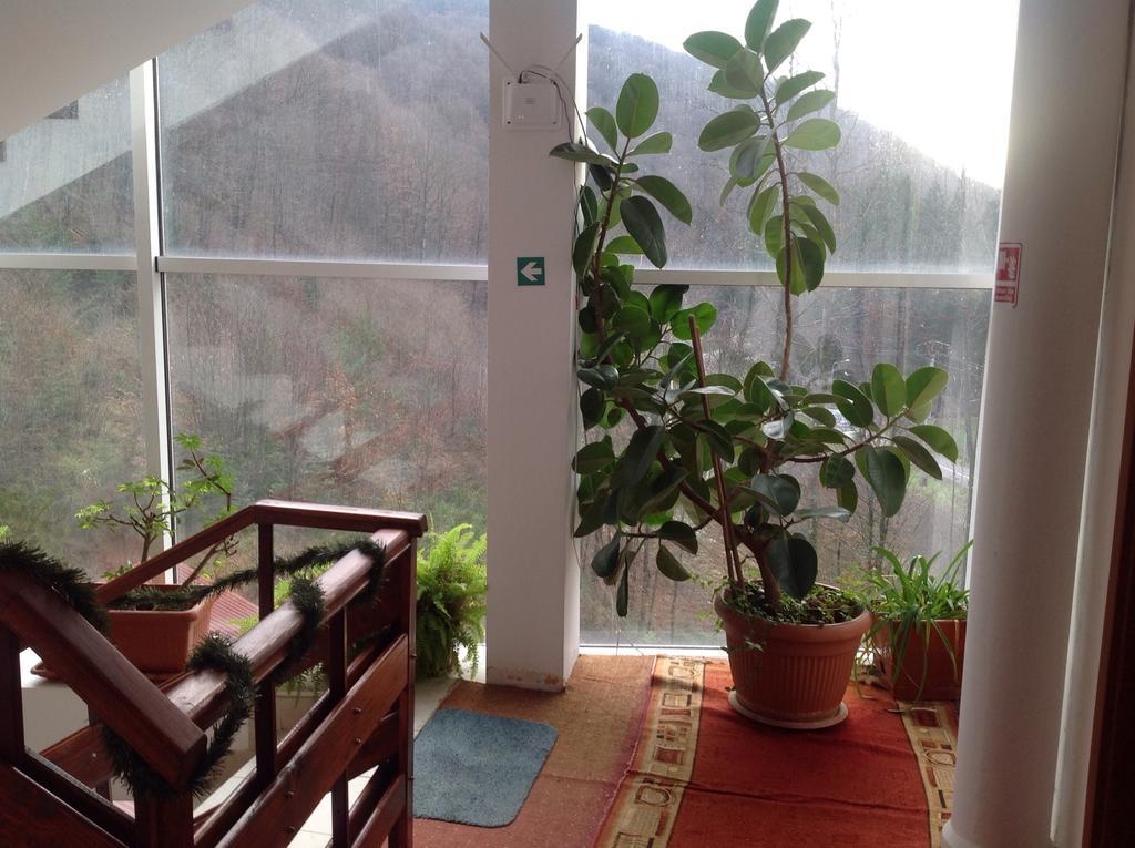 Hotel Panoramic Монеаса Стая снимка